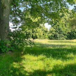 Körperorientiertes Coaching am Volksbad, Görlitz
